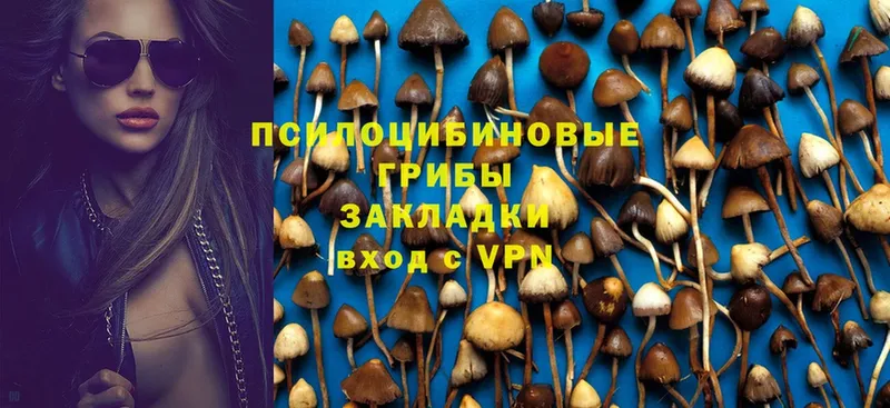 Галлюциногенные грибы Magic Shrooms  хочу   Ардон 